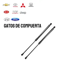Comprar Gatos De Compuertas Para Todas Las Marcas
