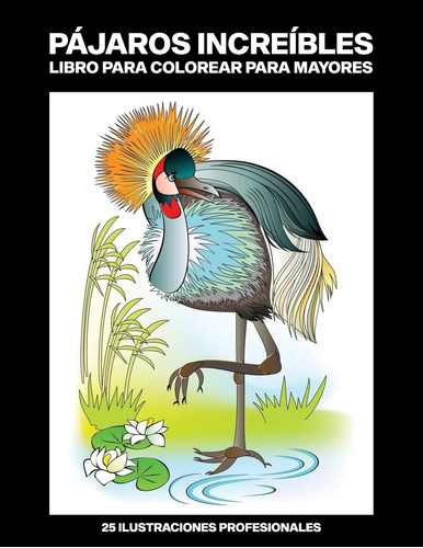 Libro: Pájaros Increíbles Libro Para Colorear Para Mayores: