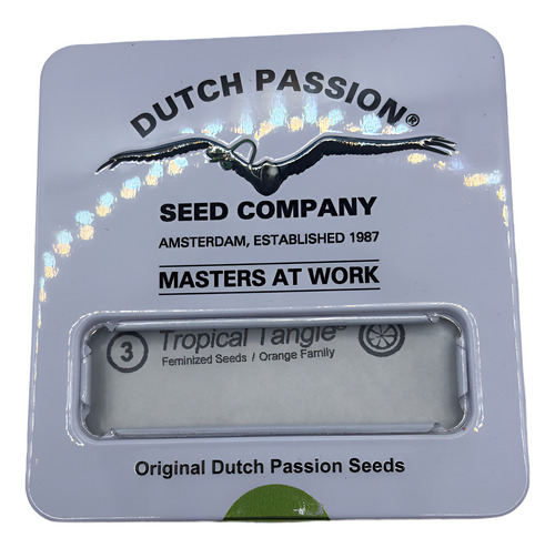 Semilla Tropical Tangie Fem 3 Semillas Dutch Passion