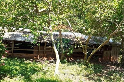 Imagen 10 de 14 de Vendo Casa Quinta En Carmen Del Paraná: 12 Hectáreas Y Media