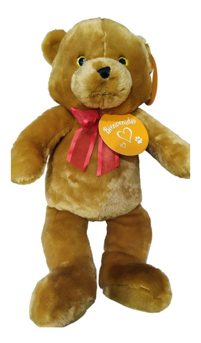 Imagen 5 de 5 de Oso Peluche Con Moño Grande 55 Cm De Largo Zoo Bags La Plata