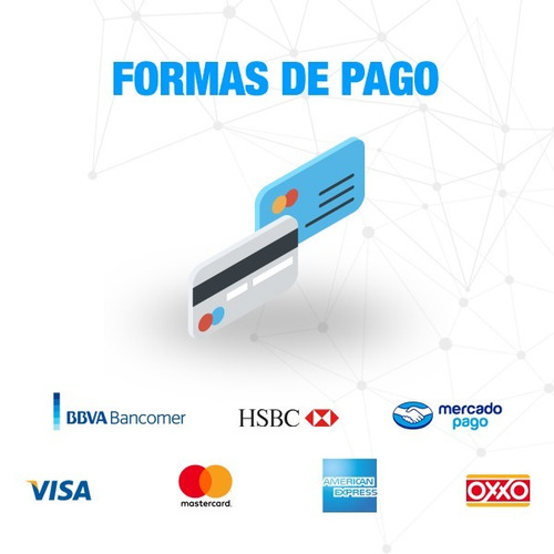 Manual De Reparación Y Tratamiento De Fracturas En Pequeños