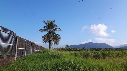 Imagen 9 de 13 de Finca Los Malavares Yaracuy