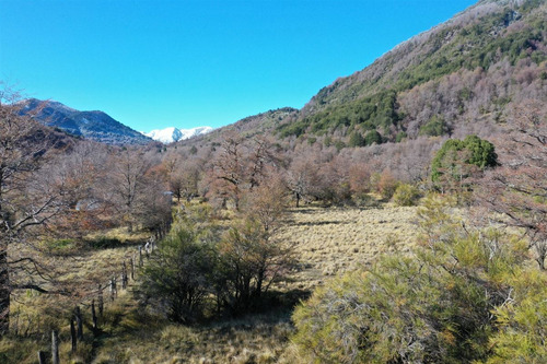 Terreno 5.000 M2, Sector Caracoles, Malalcahuello