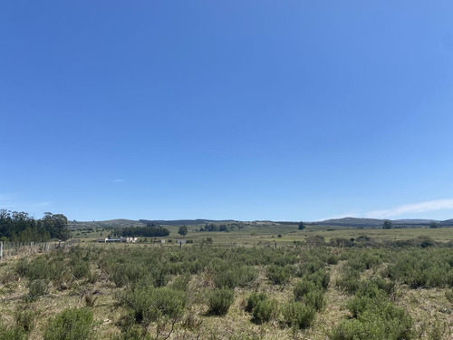 Imagen 6 de 17 de Chacra - Pueblo Edén