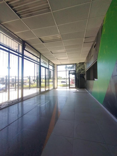 Imagen 3 de 21 de Local Comercial Depósito Oficinas