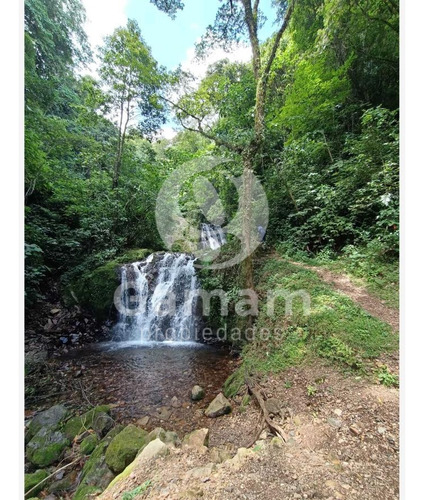 Terreno En Venta En El Texme Con Centro Ecoturistico Operativo