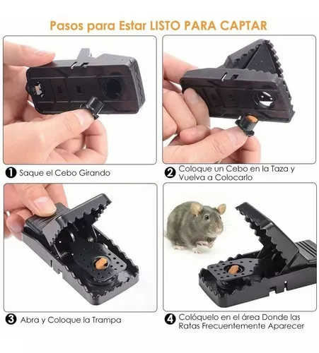 Trampa para ratones, juego de 6 trampas para ratones efectivas para  interior, cocina, hogar, jardín TUNC Sencillez