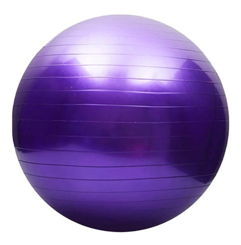 Imagen 1 de 6 de Pelota Esferodinamia 75 Cm Reforzada Fitball Gym En3x