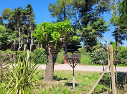 Casa En Venta - 3 Dormitorios 2 Baños - 740mts2 - Exaltación De La Cruz