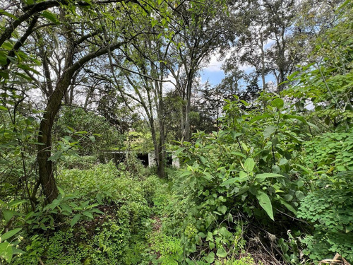 Terreno En Venta En Amecameca