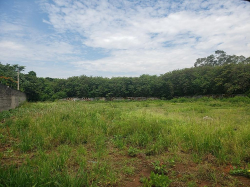 Imagem 13 de 15 de Terreno, 10000 M² - Venda Por R$ 4.000.000,00 Ou Aluguel Por R$ 8.500,00/mês - Jardim Flórida - Nova Odessa/sp - Te0295