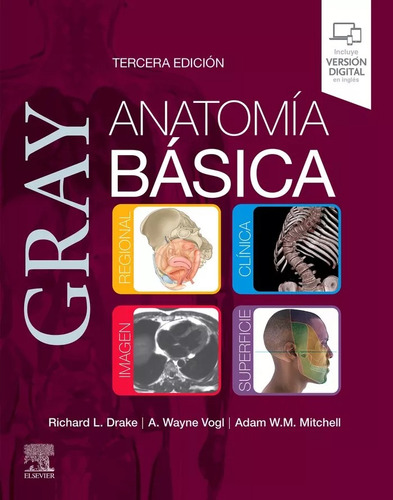 Gray Anatomia Basica, De Aa.vv.., Vol. 3. Editorial Elsevier, Tapa Blanda, Edición 3 En Español