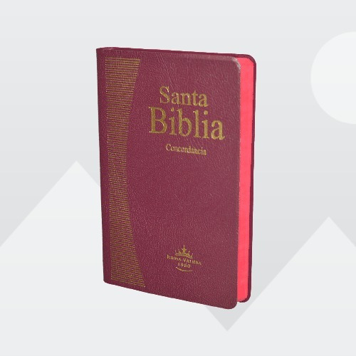 Imagen 2 de 4 de Biblia Grande Concordancia Piel Bordo Reina Valera 1960