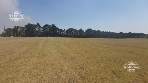 Imagen 15 de 28 de Terreno Barrio Privado 7414 Mts Camino De Los Horneros- Countrie Quinta De Los Horneros