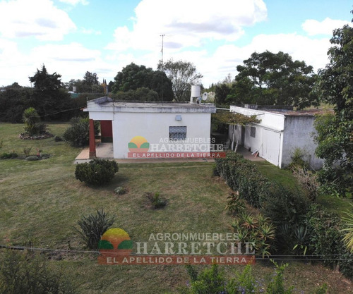 Imagen 4 de 30 de Chacra 10 Has En Venta Con Construcciones En Carrasco Del Sauce,