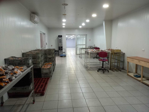 Vendo Propiedad Industrial (84483)
