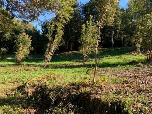 Sitio En Venta En Cascada