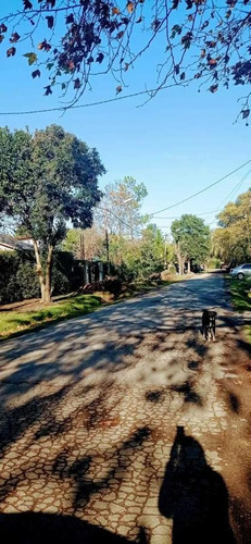 Imagen 12 de 14 de Terreno - Villa Rosa