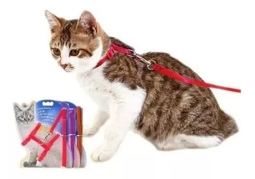 Gatos - Accesorios de paseo - Arnes para gatos - Pethome