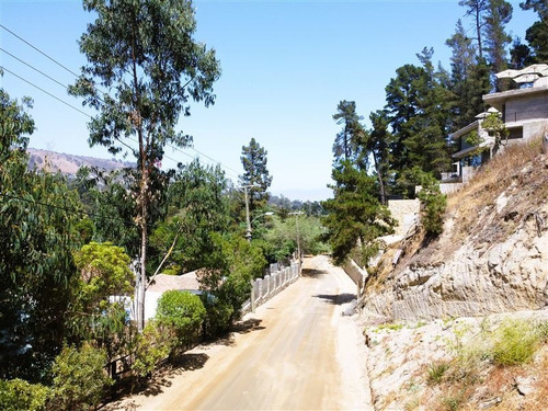Imagen 7 de 9 de Sitio En Venta En Zapallar