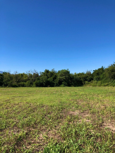 Imagen 9 de 18 de Lote 1250 M2 - La Aguadita / Villa De Las Rosas - Traslasierra