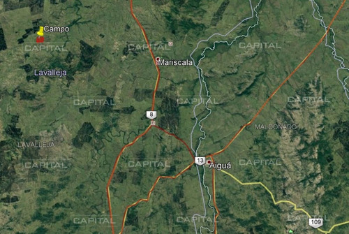 Imagen 4 de 5 de Muy Buen Campo De 90 Hectáreas En Lavalleja - Minas