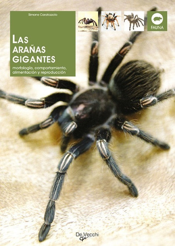 Las Arañas Gigantes, Simone Caratozzolo, Vecchi