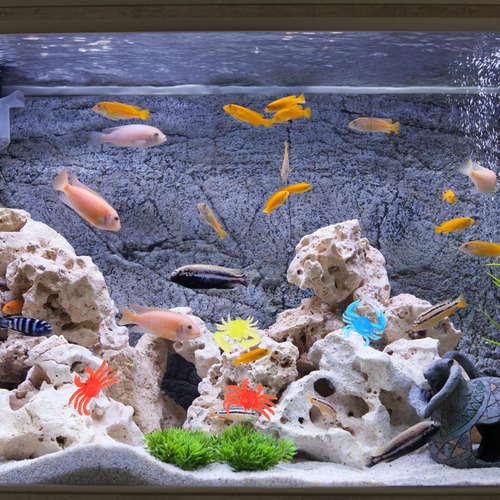 12 Minianimales Marinos De Simulación De Cangrejos Con Forma