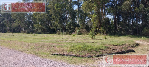 Lotes De 850 M2 - Barrio Semicerrdo La Flor