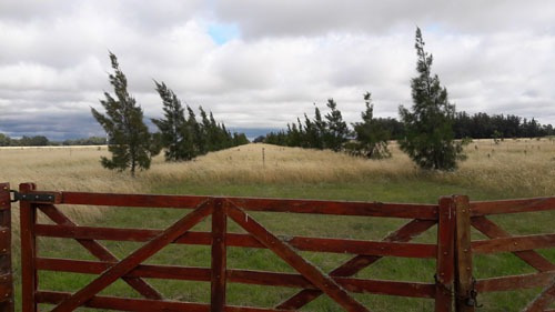Imagen 3 de 4 de Campo En Venta En Punta Indio
