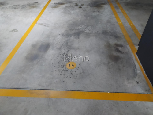Imagem 30 de 30 de Apartamento Á Venda E Para Aluguel Em Cambuí - Ap028608