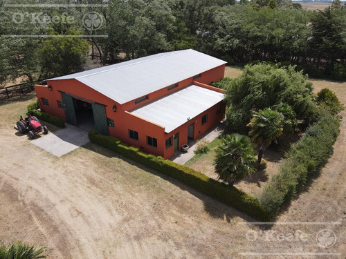 Imagen 18 de 24 de Campo En Venta 50 Has En Punta Indio - Excelente Casco - Ideal Haras