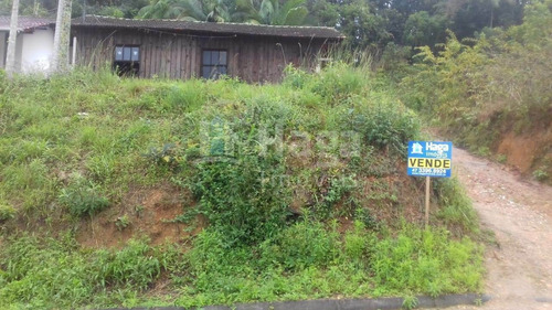 Imagem 6 de 16 de Terreno À Venda Em Brusque/sc - 1200