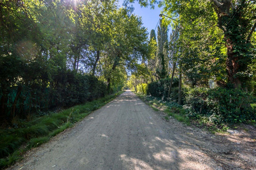 Imagen 14 de 17 de Lote En Venta En Villa Elisa