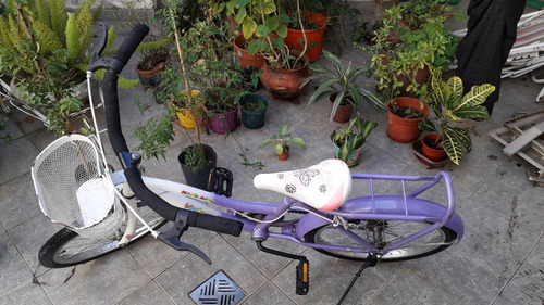 Bicicleta Niña Rodado 20.