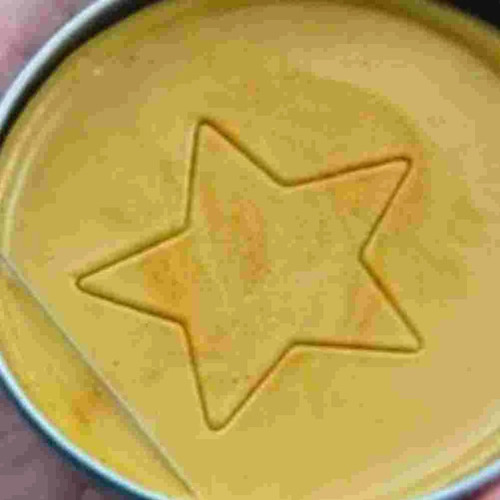 Juego De Dulces De Calamar, Kit De Moldes Diy