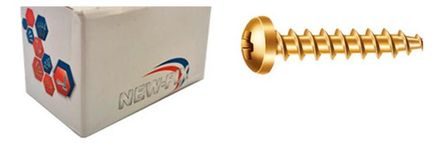 Parafuso New Fix Chip Pan 4,0 X 35 - Kit C/5 Centos