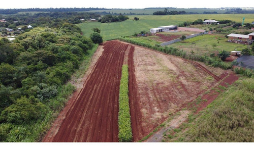Imagem 3 de 4 de Chácara À Venda, 1200 M² Por R$ 120.000,00 - Arroio Dourado - Foz Do Iguaçu/pr - Ch0023