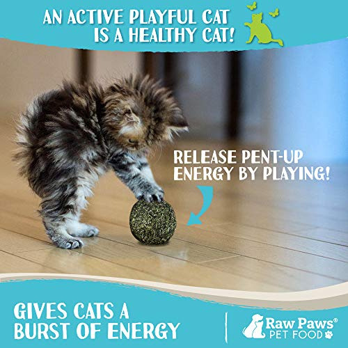Pelota De Catnip Natural Para Gatos - Juguete Interactivo