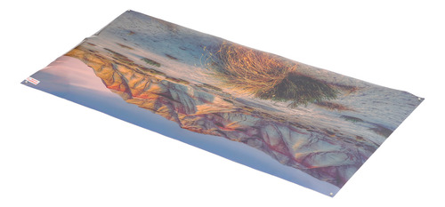 Póster Decorativo Para Acuarios, 91 X 50 Cm, Estampado De Mo