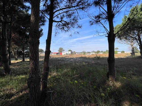 Imagen 13 de 18 de Venta Terreno Financiable Lomas De Solymar Canelones