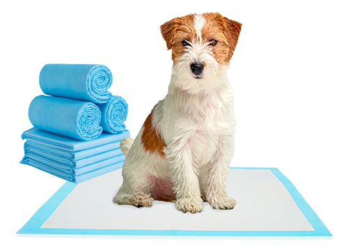 Toallas Higienicas Para Perro Paños Absorbentes Para Perro