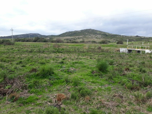 Campo De 6 Has 932 M 2 Ubicado En Ruta 60