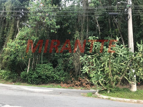 Imagem 5 de 5 de Terreno Em Serra Da Cantareira - São Paulo, Sp - 320719