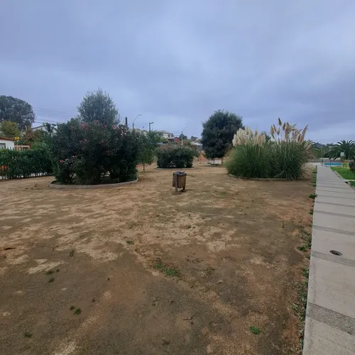 Arriendo Departamento Excelente Conectividad Quilpué