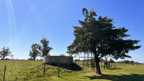 Imagen 18 de 30 de Campo Sobre Autopista Ruta 14 Colón Entre Ríos