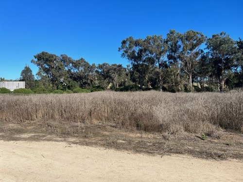 Sitio En Venta En Zapallar