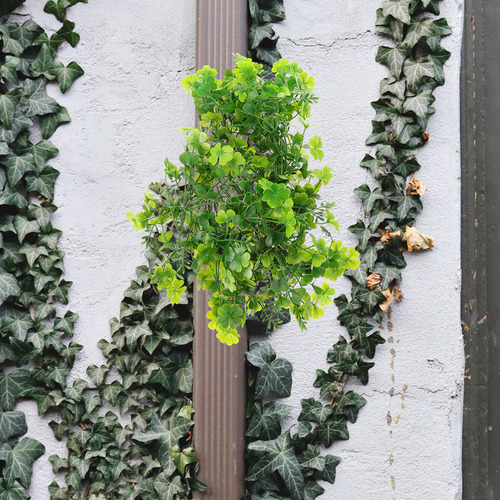 Accesorios Para Colgar En La Pared Vines Four Leaf