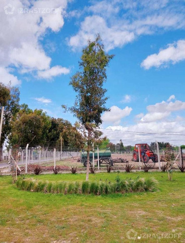 Imagen 3 de 9 de Lote A La Venta, Santa Lucía, Pilar Del Este.
